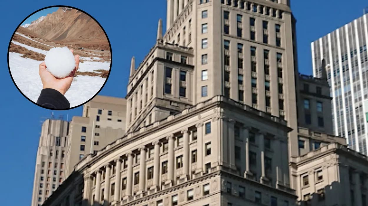 Washington police demand arrest in 2026 snowball assault