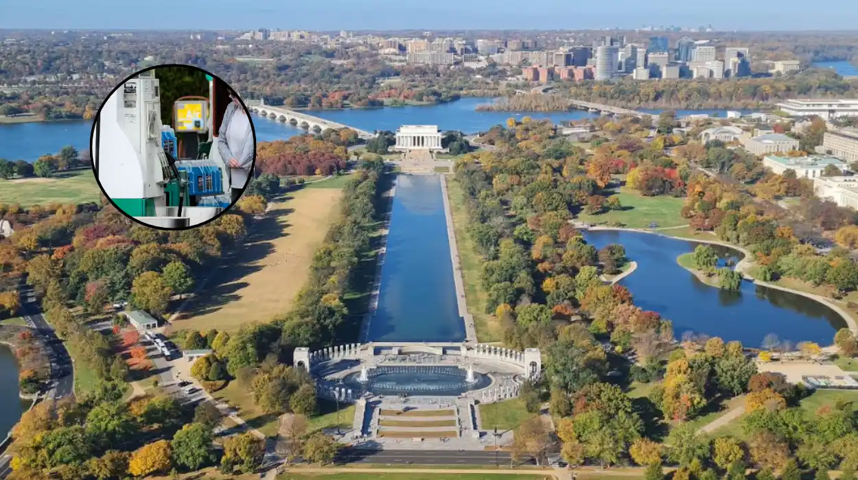 TMZ Rage Baiting DC? Call Your Mother Post | Washington DC 2026