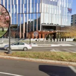 extreme winter hits washington dc cherry bloom 1