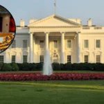 governors defy trump grip in washington 1