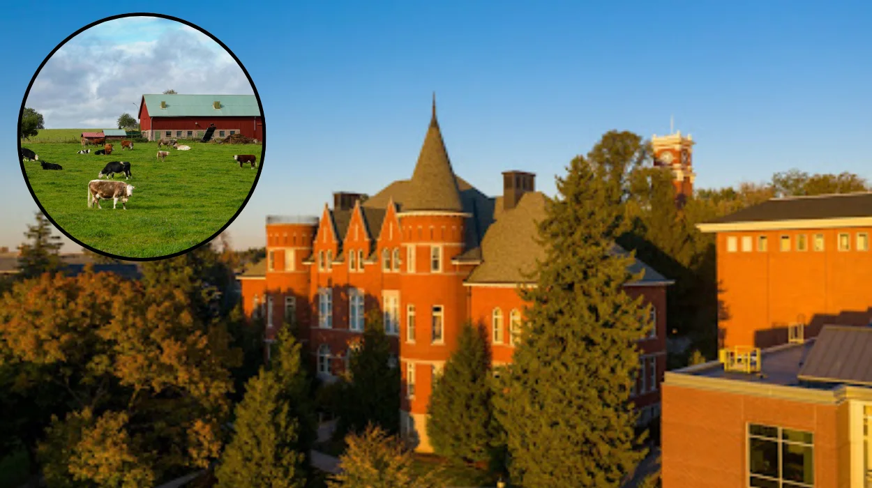 grass seed expert at connell farm show 1