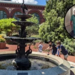 nicu babies valentines gifts dc 1