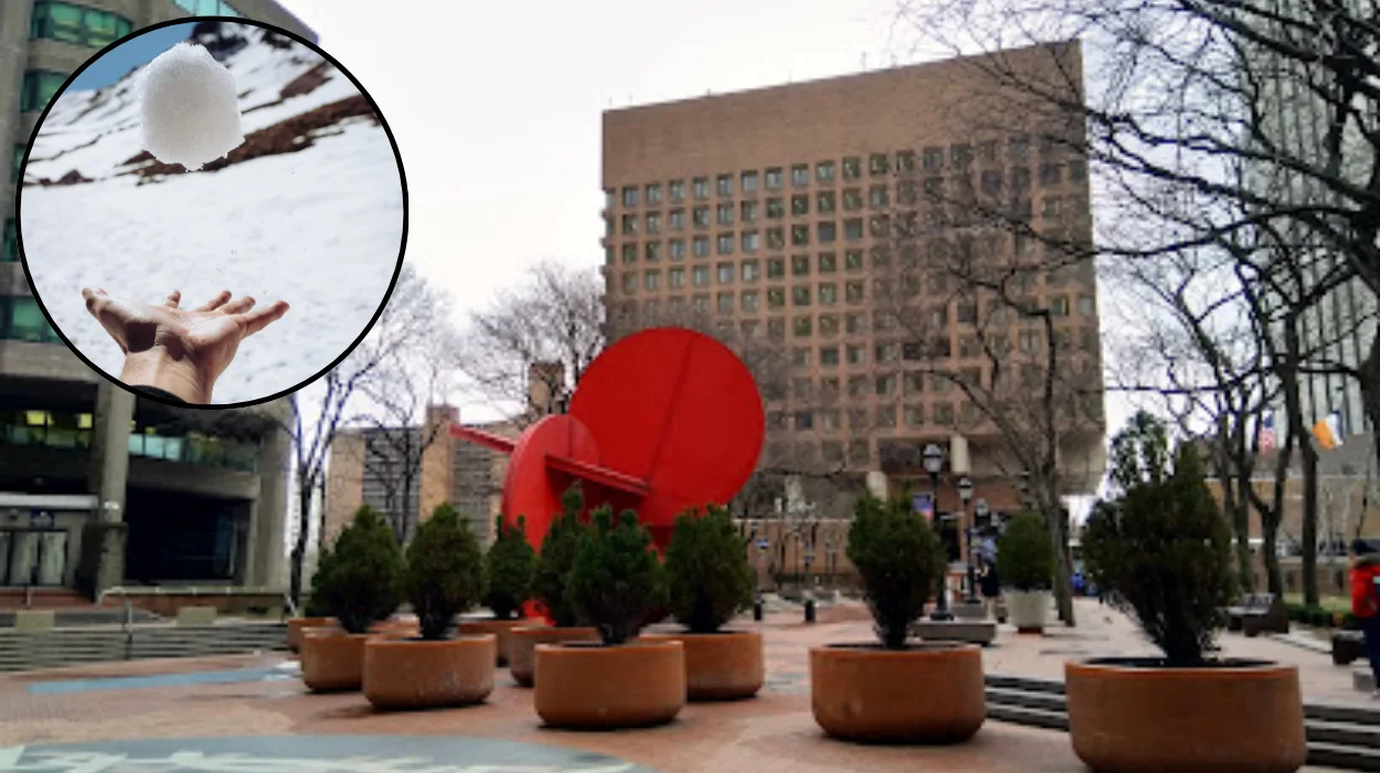 second nypd snowball suspect nabbed in washington 1