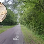 tennessee youth compete spelling bee in washington 1