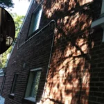 virginia worker shot dead by dc colleague 1