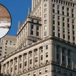 washington police demand arrest in snowball assault 1