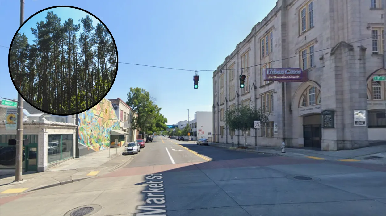 washington tree incentive program doomed 1