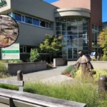 AG Sues Providence Over Pregnancy Accommodations — Seattle 2026