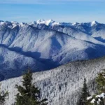 Best Waterfalls in Olympic National Park to Visit Year-Round