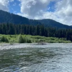 Hoh Rainforest Washington Guide: Explore the Ultimate Moss Trails and Wildlife