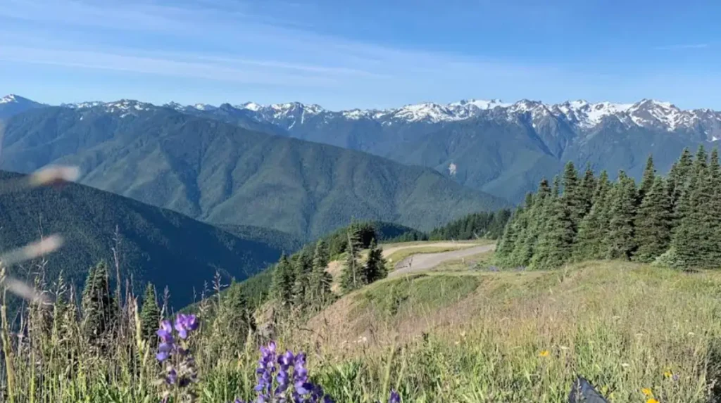 How Do Recreational Activities Vary by Season at Hurricane Ridge?