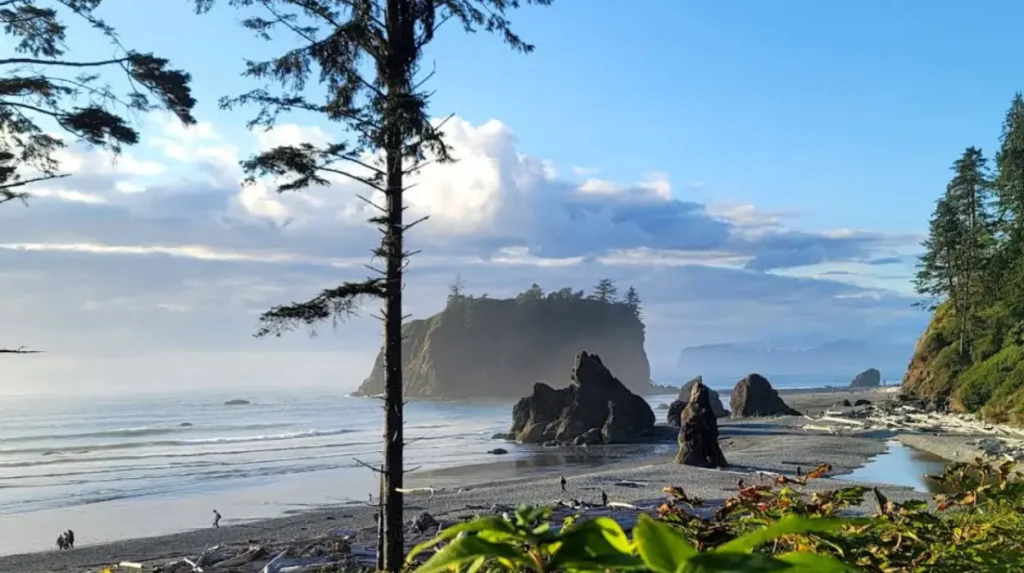 How Much Does It Cost to Visit Olympic National Park and What Passes Are Available?