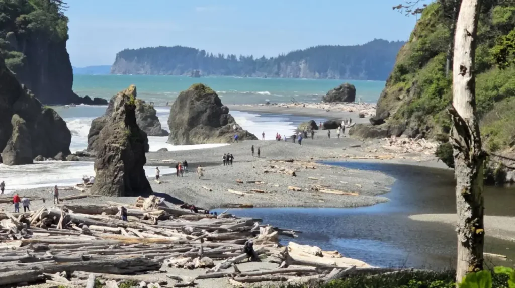 How does the park manage environmental conservation and restoration?