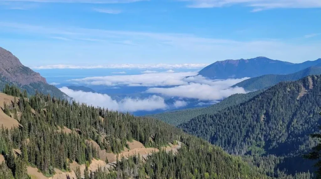 How was Olympic National Park established historically?