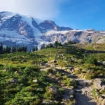Mount Rainier National Park Guide: Best Trails and Views