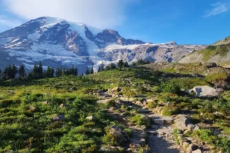 Mount Rainier National Park Guide: Best Trails and Views