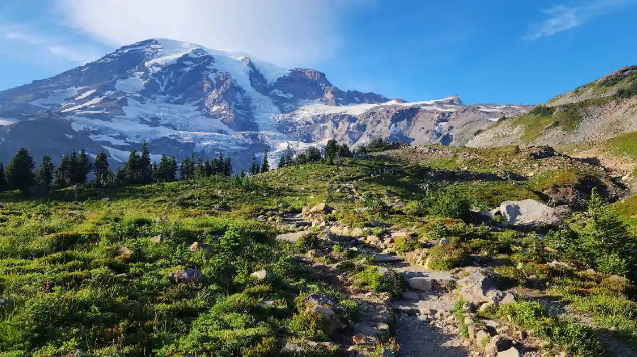 Mount Rainier National Park Guide: Best Trails and Views