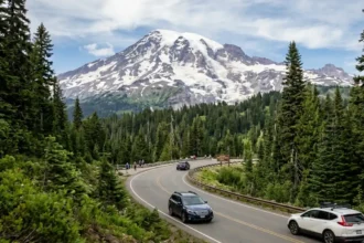 Mount Rainier Scenic Drives: Top Routes and Stops in Washington