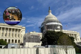 New Medical Governance Laws Protect Physician Autonomy: Washington to Rhode Island 2026