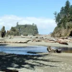 Olympic National Park Guide: Rainforest, Beaches & Mountains