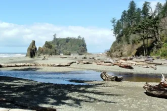 Olympic National Park Guide: Rainforest, Beaches & Mountains