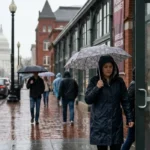 Rainy Day in DC: Best Indoor Activities for Weather Turns