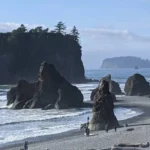 Ruby Beach Olympic Coast Guide: Best Sunset Viewing Spot in Washington State