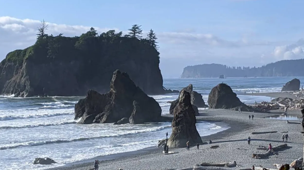 Ruby Beach Olympic Coast Guide: Best Sunset Viewing Spot in Washington State