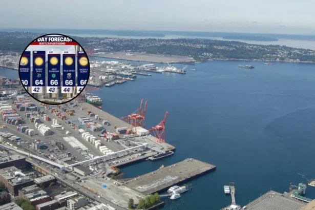 Seattle Weather Facing Warming Trend Ahead of Sunday Showers Seattle 2026