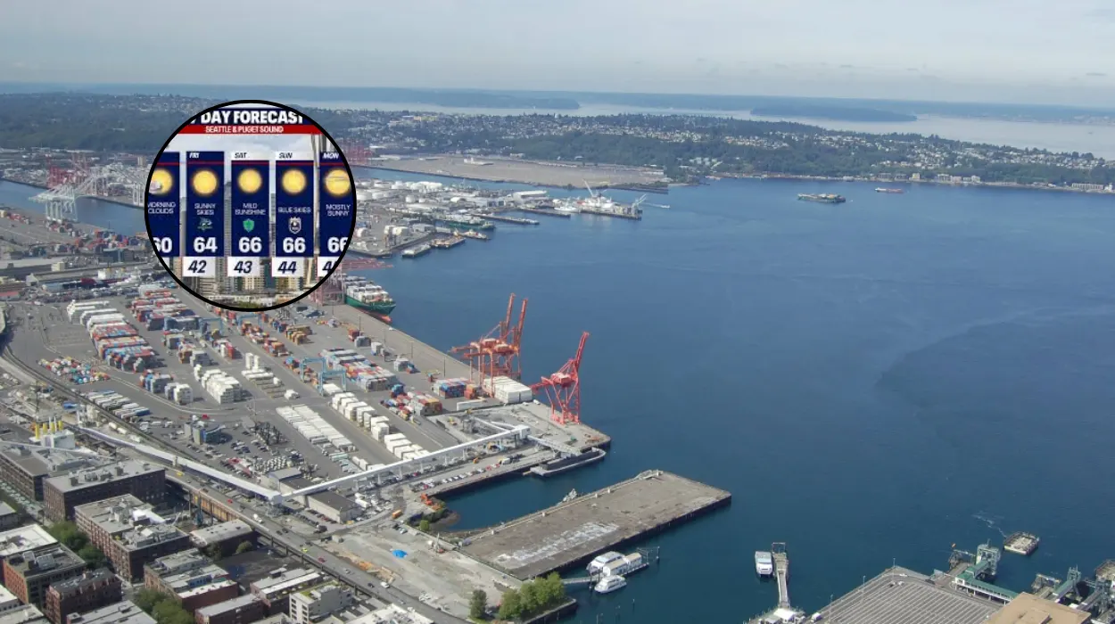 Seattle Weather Facing Warming Trend Ahead of Sunday Showers Seattle 2026