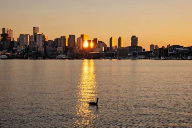 Seattle Weekend Weather: Cool, Wet Start with Storms 2026 Seattle