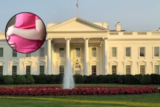 Trump's Maternal Health Event Launches Moms.gov in Washington, D.C. 2026