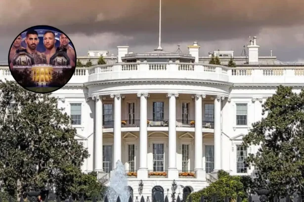 UFC Freedom Fights 250 at White House: Topuria vs Gaethje 2026 Washington DC