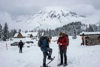 Visiting Mount Rainier in Winter: What Washington Travelers Need to Know