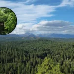 Washington DNR slashes camping services in Teanaway 2026