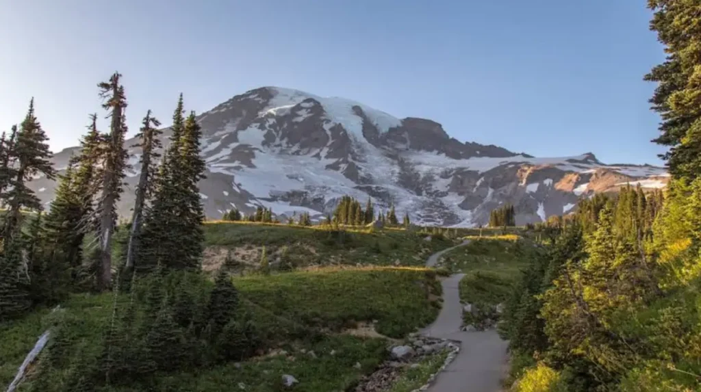What Is Paradise Area Mount Rainier and Why Is It Famous