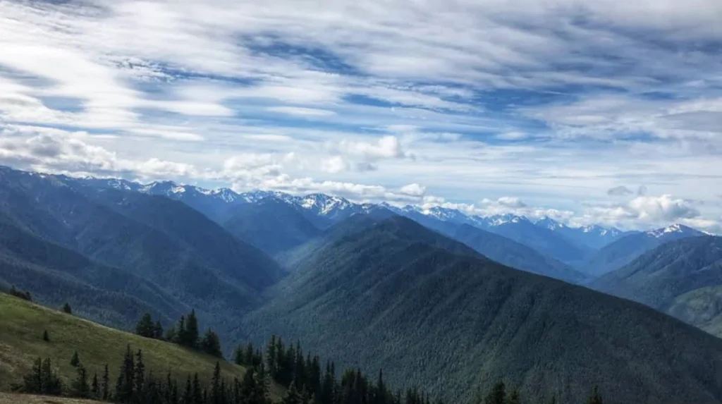 What Is the Olympic Peninsula, and Why Is It a Unique Road Trip Destination?