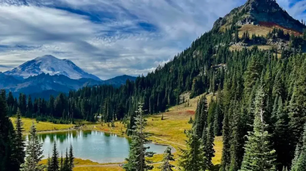 What is Mount Rainier National Park?
