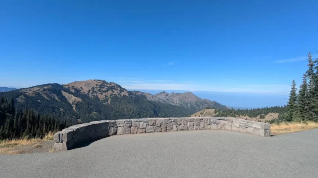Why Is Hurricane Ridge a Primary Destination in Olympic National Park?