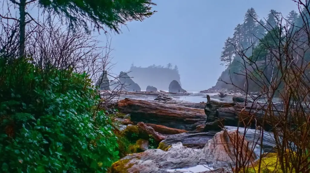Why is it called Ruby Beach?