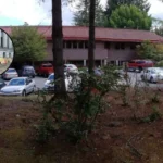 $25,000 Bail Set for WA Capitol Vandal in Olympia 2026