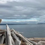 Best Beaches in San Juan Islands Washington | Top 5 Beaches