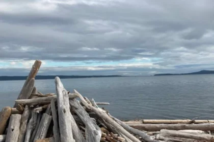 Best Beaches in San Juan Islands Washington | Top 5 Beaches