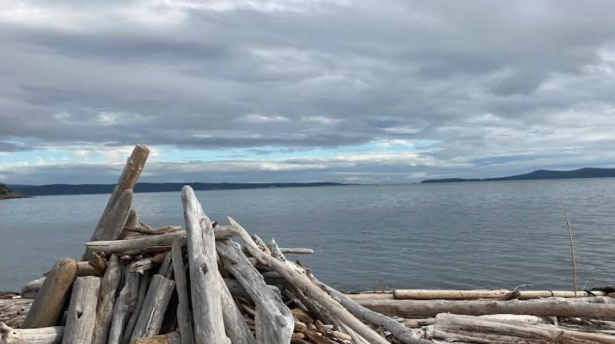 Best Beaches in San Juan Islands Washington | Top 5 Beaches