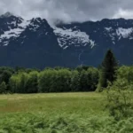 Cascade Loop Road Trip: Scenic Washington Driving Route Guide