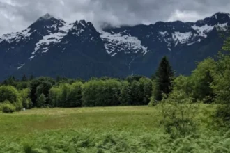 Cascade Loop Road Trip: Scenic Washington Driving Route Guide