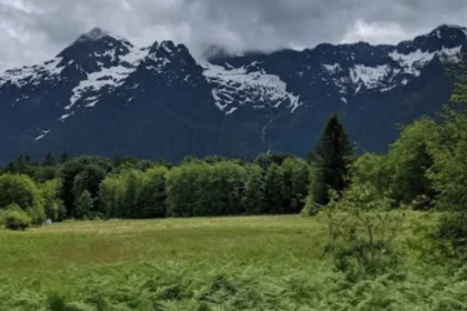 Cascade Loop Road Trip: Scenic Washington Driving Route Guide