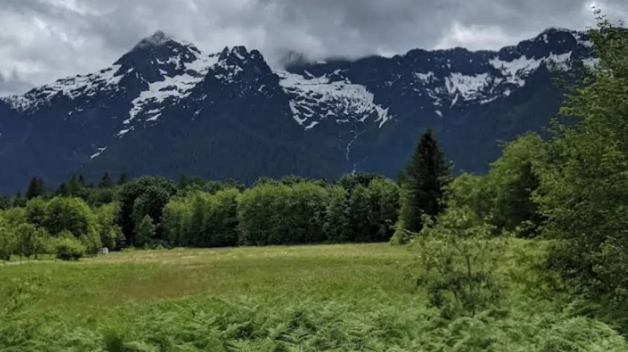 Cascade Loop Road Trip: Scenic Washington Driving Route Guide