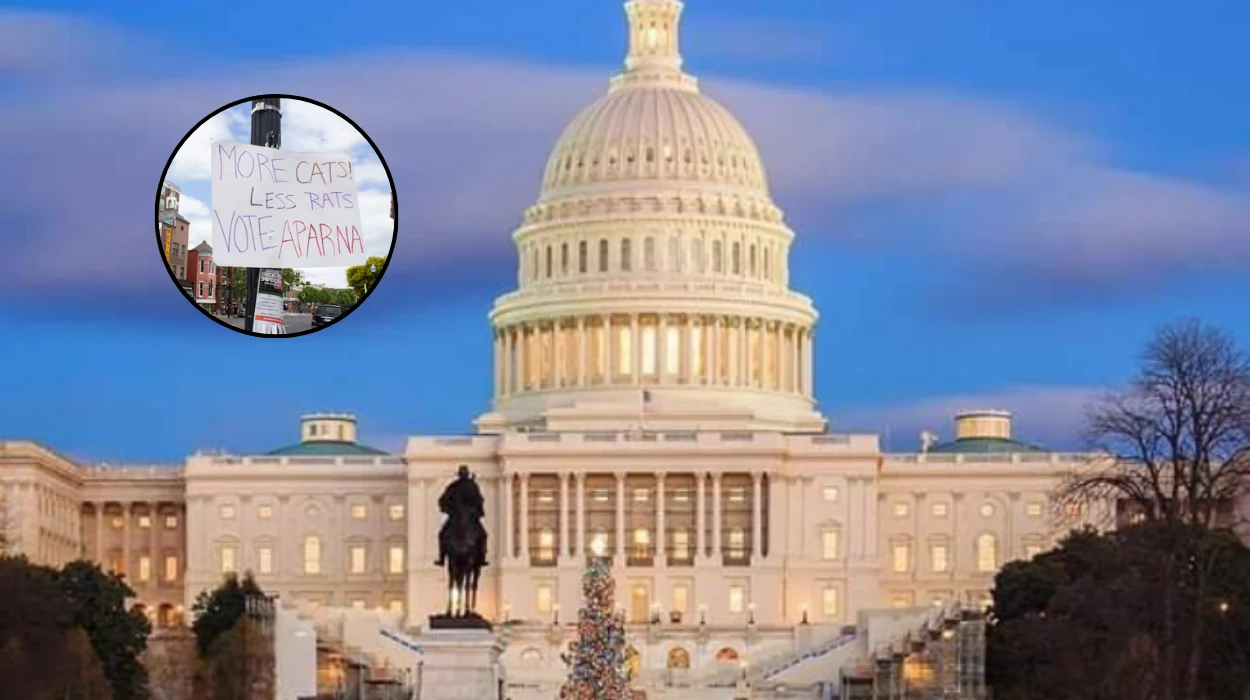 DC Election 2026: Districtwide Primary & U Street Campaign Signs; Washington DC, 2026