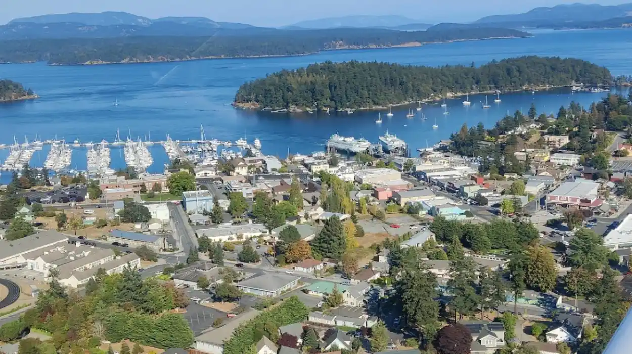 Friday Harbor Travel Guide: Best Things to Do in San Juan Island Washington